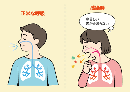 なぜ「呼吸」が大切なのか──感染症をきっかけに見直す呼吸のはたらき